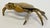 Metal Vintage Brass Crab Ashtray or Trinket Dish For Sale - Image 7 of 10