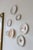 Ceramic Wall Plates in Pink Earthenware, 1950s, Set of 7 For Sale - Image 7 of 9