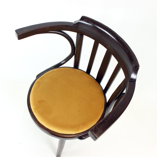 Bentwood Armchair from Ton, Czechoslovakia, 1950s For Sale - Image 12 of 14