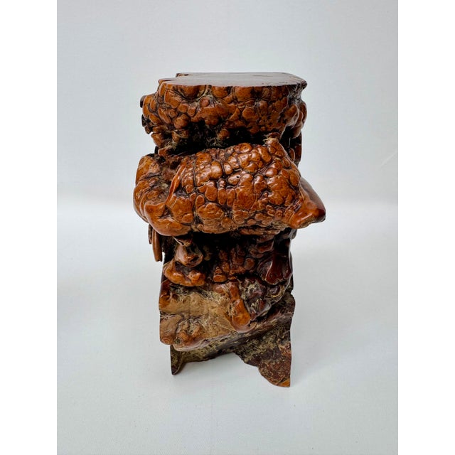 Mid-Century Modern Vintage Burlwood Root Sculpture Bookends, Pair For Sale - Image 3 of 12