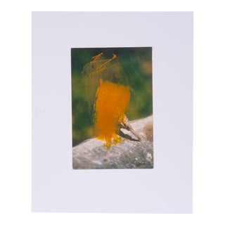 Original Signed James Sprouse "Yellow Oil Bird" 2001 For Sale