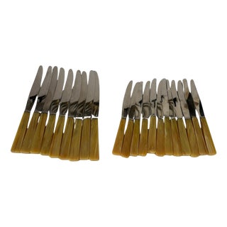 Bakelite and Stainless Steel Knives, France, 1970s, Set of 21 For Sale