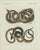 Bertuch, Four Exotic Snakes, 1802, Engraving For Sale - Image 10 of 10