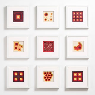 Spring Rose by Daria Aksenova | Hand cut, suspended, layered coloured paper geometric patterns For Sale