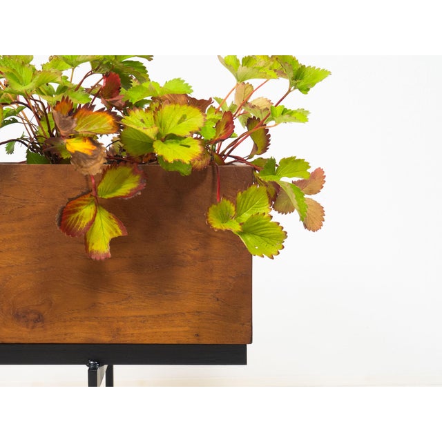 Vintage planter, age and origin unknown. Presumed 1960s. This unique vintage planter is made from solid teak boards and...