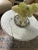 1960s Conmar Italian Hollywood Regency Coffee Table With Carrara Marble Top | Hand-Carved Giltwood Acanthus Pedestal | Made in Italy For Sale - Image 12 of 15