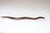 American Folk Art Hand-Carved Rosewood Snake For Sale In New York - Image 6 of 12