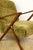 Vintage Olive Long Hair Loft Lounge Chair, 1970s For Sale - Image 9 of 12