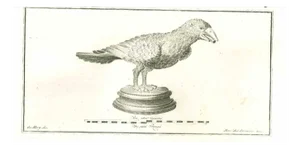 Ancient Roman Statues, Original Etching, 18th-Century