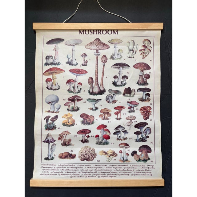 A charming vintage-style botanical fungi chart printed on textured canvas and mounted with natural wood rails. Featuring...