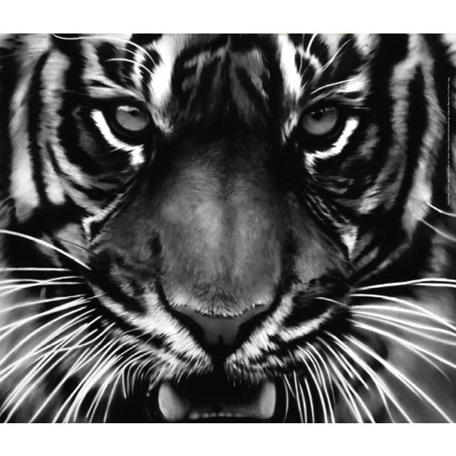 Contemporary Robert Longo Tiger Poster Exhibition For Sale - Image 3 of 3