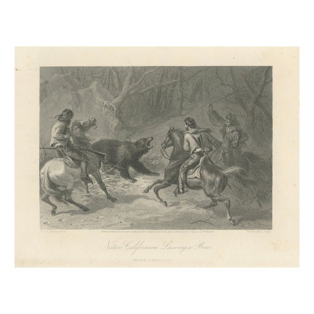 Native Californians Lassoing a Bear, 1873, Paper For Sale