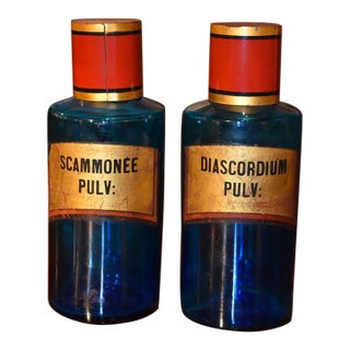 French 19th Century Blue Apothecary Jars For Sale