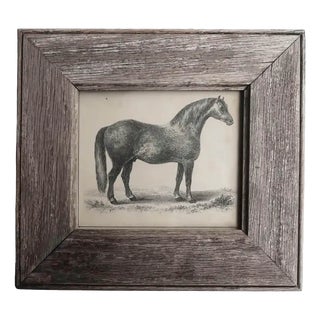 After Stubbs, Grey Racehorse, 1847, Lithograph, Framed For Sale