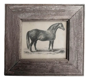 After Stubbs, Grey Racehorse, 1847, Lithograph, Framed