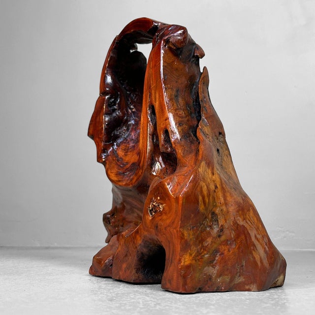 Antique Japanese Tsuge Root Burlwood Ikebana Stand, 1920s For Sale - Image 10 of 11