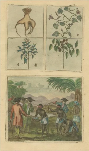 Plants and Trees and Indonesian Natives with Voc Men, 1726, Paper