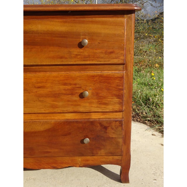 1950s Vintage Three-Drawer Chest of Drawers in Walnut, 1950s For Sale - Image 5 of 18