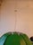Italian Green Listelli Pendant, 1960s-1970s For Sale - Image 6 of 15