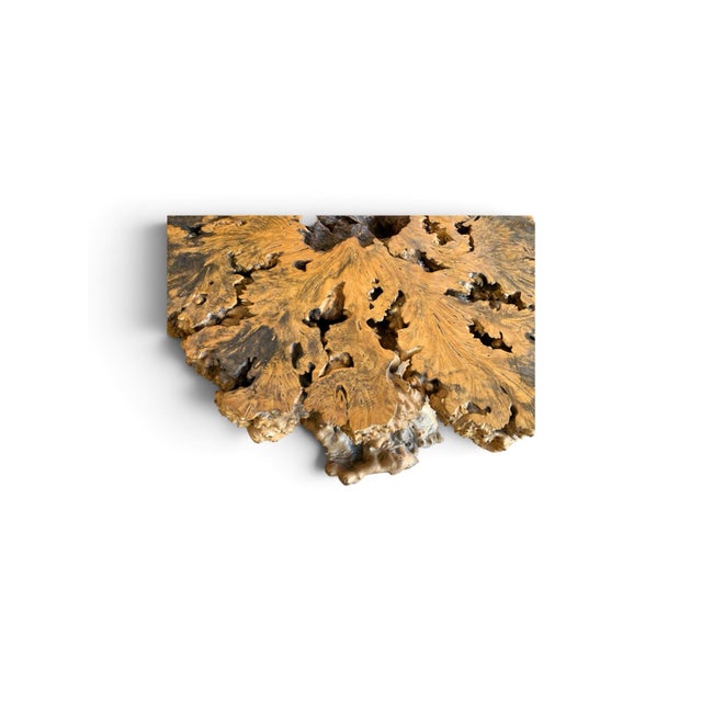 1970s Signed 1970s California Studio Craft Live-Edge Buckeye Burl Root Mushroom Coffee Table "Flight Into Freedom" For Sale - Image 5 of 7