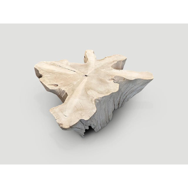 Off-white Andrianna Shamaris Amorphous Bleached Teak Wood Coffee Table For Sale - Image 8 of 18