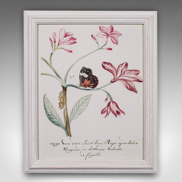 4 Vintage Botanical Pictures, Framed Print, Plant Illustrations, Natural Art For Sale - Image 4 of 12