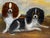 Circa 1880 British King Charles Spaniels Victorian Dog Portrait Late 19th Century British Oil on Panel Depicting Blenheim...