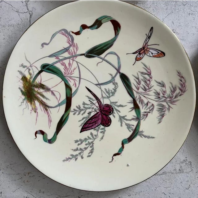 Butterfly Plates by James Green & Nephew, Set of 12 For Sale - Image 5 of 9