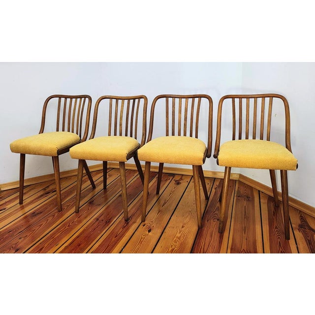 Set of chairs designed by A. Suman, Czechoslovakia, the 60s Creating beautiful things is the best way to shape a beautiful...