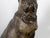 An English terracotta bulldog sculpture from the 19th century, with silver collar and glass eyes. Created in England...