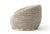 Contemporary Tregua Swivel Chair by Moanne For Sale - Image 3 of 7