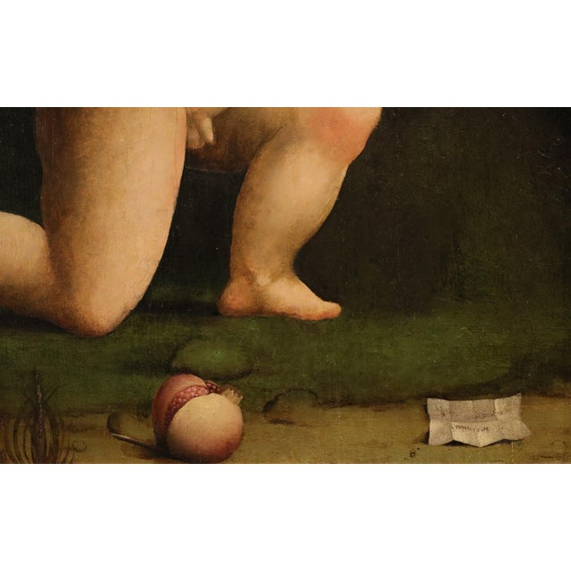 Workshop of Marco Palmezzano, Saint John the Baptist as a Child, 16th Century, Oil Painting on Panel For Sale - Image 12 of 15