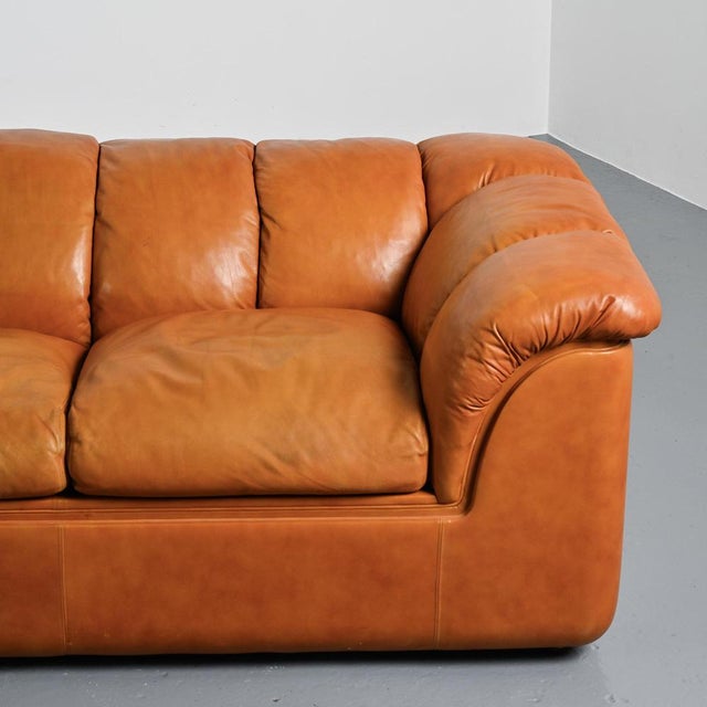 Mid-Century Modern Cocker Leather Sofa by Franco Bresciani for Poltrona Frau, 1970s For Sale - Image 3 of 16