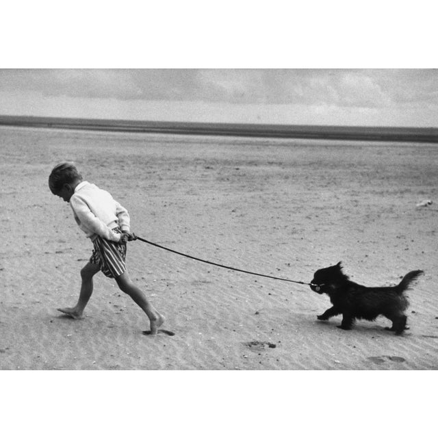 Walking The Dog (1959) - Silver Gelatin Fibre Print (Photo by Erich Auerbach/Getty Images) 1959: Deep in thought a...