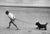 Walking The Dog (1959) - Silver Gelatin Fibre Print (Photo by Erich Auerbach/Getty Images) 1959: Deep in thought a...