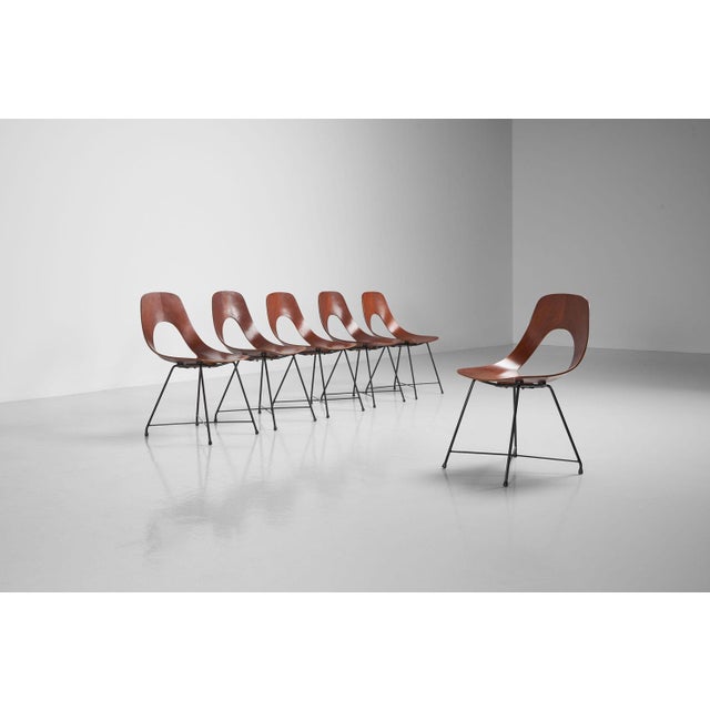 Ariston Dining Chairs by Augusto Bozzi for Saporiti, 1954, Set of 6 For Sale - Image 9 of 16