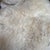 Interiors Genuine Sheepskin Rug For Sale - Image 10 of 12