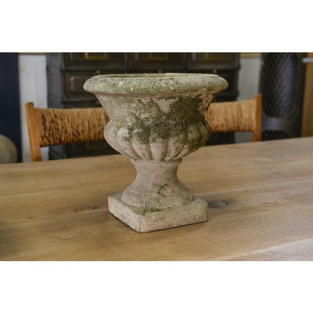 Mid-Century Modern Medici Vases in Reconstituted Stone, 1950s, Set of 2 For Sale - Image 3 of 12
