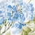 Contemporary Sample - Schumacher Summer Hydrangea Fabric in Blue Hydrangea For Sale - Image 3 of 5