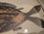 Pottery Serving Dish, Fish Motif South Africa For Sale In Washington DC - Image 6 of 11