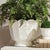 Kenneth Ludwig Chicago Mirabelle Fluted Cachepot Large For Sale - Image 4 of 7