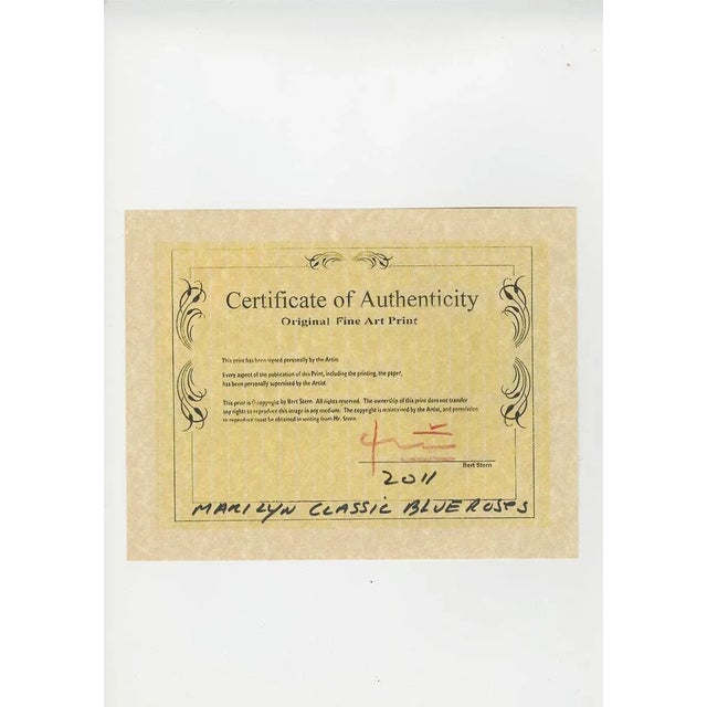 Bert Stern, Marilyn Monroe Gold Apricot Wink Roses, 2012, Paper For Sale - Image 4 of 5