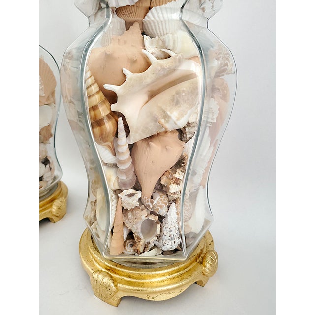 Lamp Pair Seashells Shells Restored For Sale - Image 10 of 12