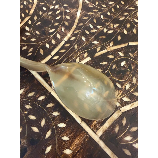 Hand Carved Horn Spoons Set of 2 For Sale In Miami - Image 6 of 8