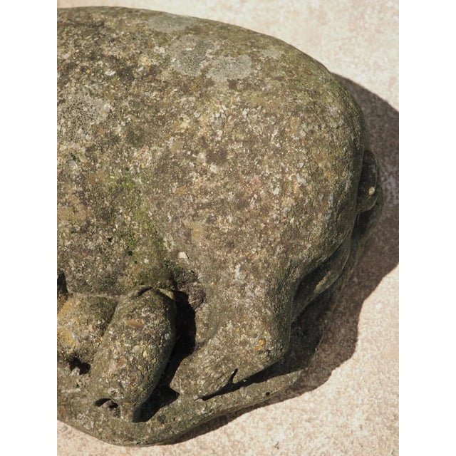 Stone Weathered Cast Stone Pig and Piglets From England, 20th C. For Sale - Image 7 of 13