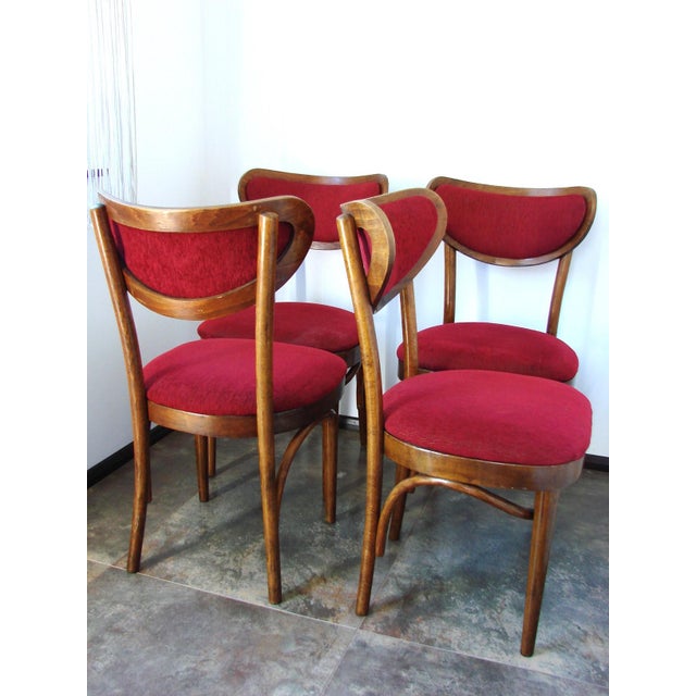 Wood Vintage Chairs from Thonet, 1960s, Set of 4 For Sale - Image 7 of 10