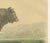 After Isidore Bonheur, Garonnais Bull, , 1873, Paper For Sale - Image 4 of 12