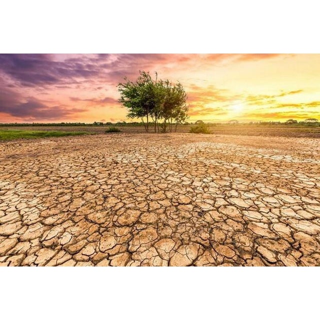 Art Deco French Craquelé White Ceramic Vase For Sale - Image 16 of 18