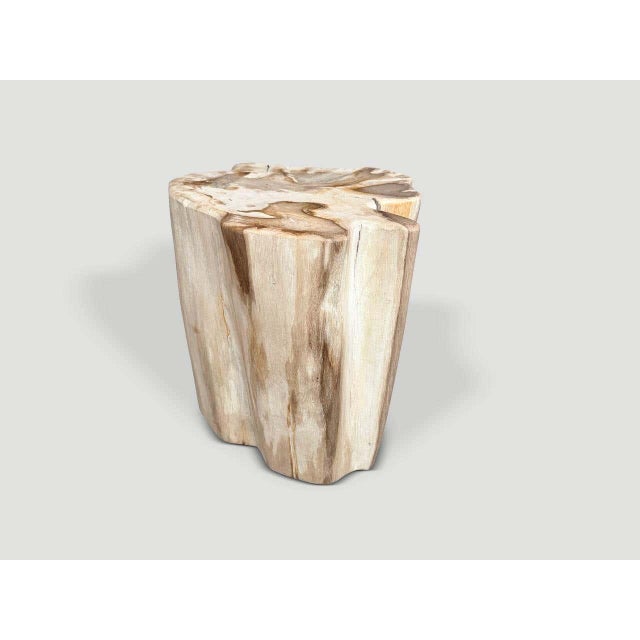Andrianna Shamaris Impressive High Quality Ancient Petrified Wood Side Table For Sale - Image 4 of 5