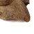 Early 20th Century Baule Mask Two Faces Côte d'Ivoire For Sale - Image 9 of 9